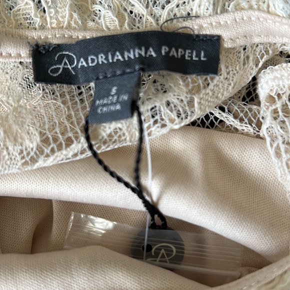 NWT Adrianna Papell Beige Lace Blouse - Picture 10 of 11